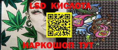 трава Краснодар