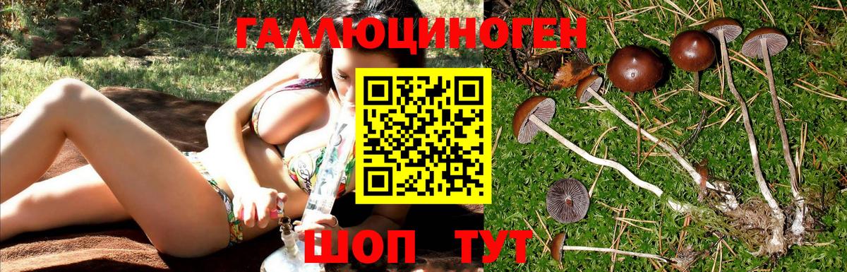 Трёхгорный  Псилоцибиновые грибы Psilocybine cubensis  Вход с VPN 